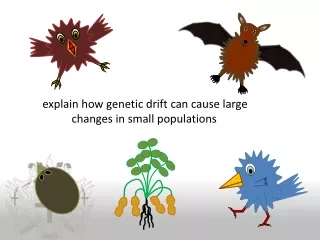 explain how genetic drift can cause large 	changes in small populations
