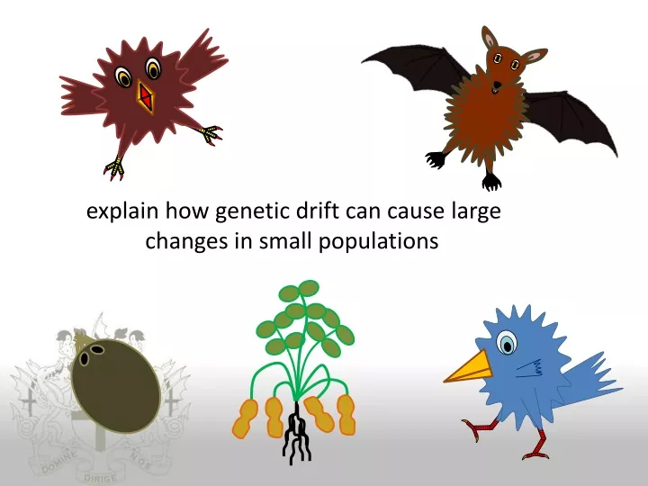 explain how genetic drift can cause large changes