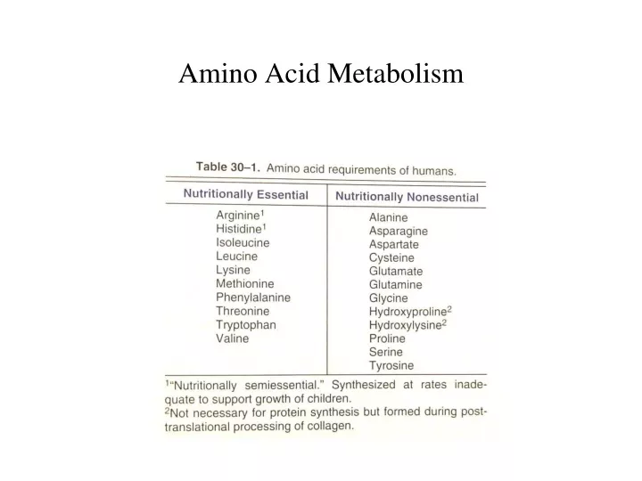 amino acid metabolism