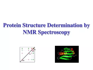 Protein Structure Determination by NMR Spectroscopy