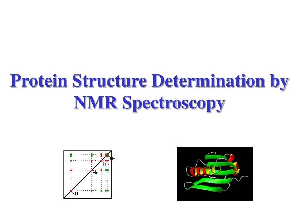 PPT - NMR Spectroscopy for Protein Structure Determination PowerPoint ...
