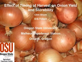 Effect of Timing of Harvest on Onion Yield and Storability Clint Shock Erik Feibert