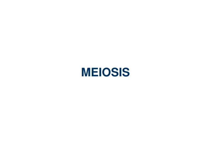 meiosis