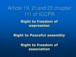 Article 19, 21and 22 chapter 111 of ICCPR