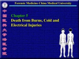 Chapter 5 Death from Burns, Cold and Electrical Injuries