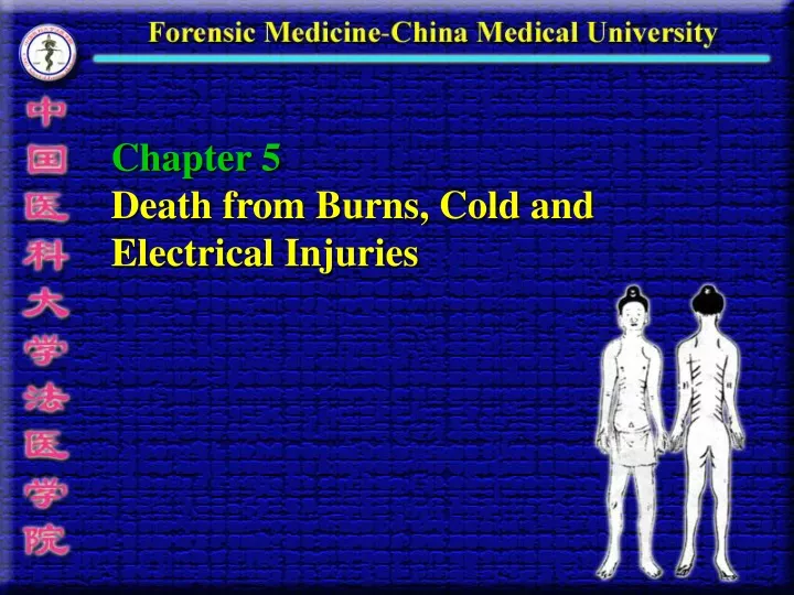 chapter 5 death from burns cold and electrical injuries