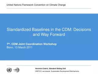 Standardized Baselines in the CDM: Decisions and Way Forward