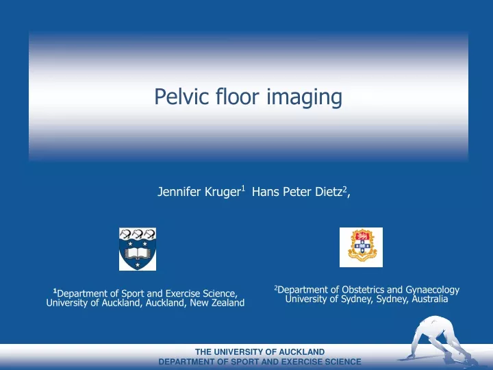 pelvic floor imaging