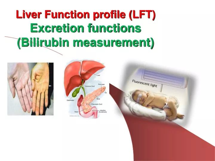 liver function profile lft excretion functions bilirubin measurement
