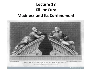 Lecture 13 Kill or Cure Madness and Its Confinement