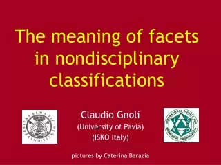 The meaning of facets  in nondisciplinary classifications