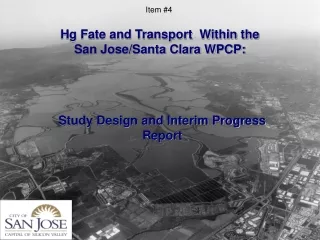 Hg Fate and Transport  Within the  San Jose/Santa Clara WPCP: