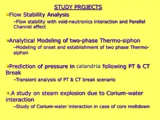 STUDY PROJECTS Flow Stability Analysis