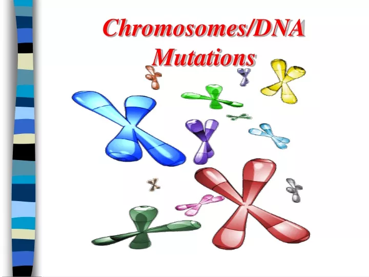 chromosomes dna mutations