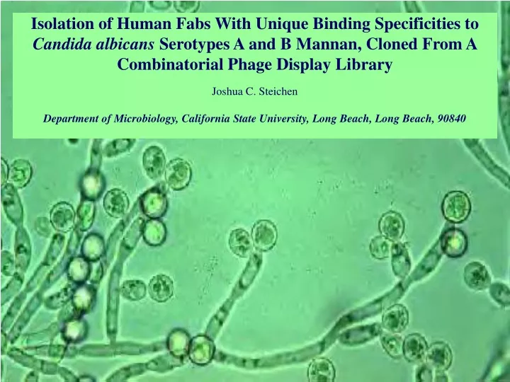 isolation of human fabs with unique binding