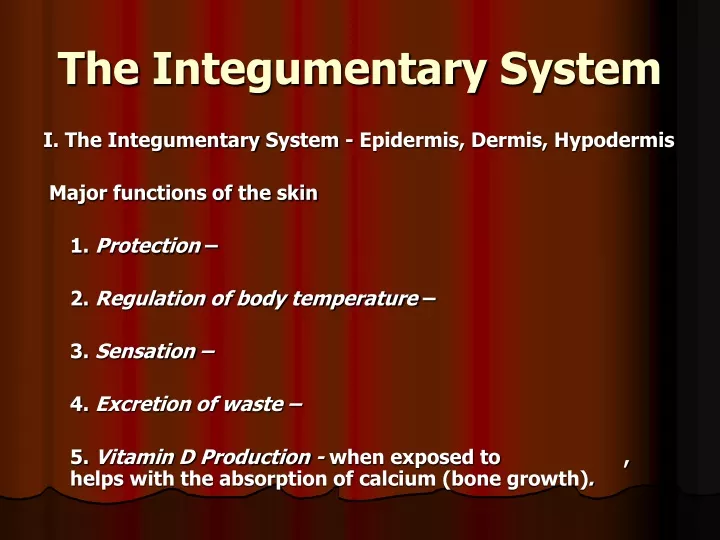 the integumentary system