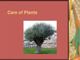 Care of Plants