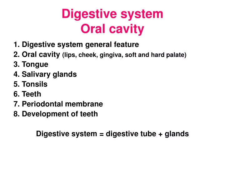 digestive system oral cavity