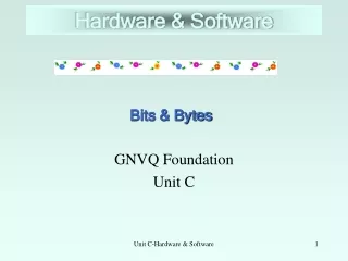 GNVQ Foundation Unit C