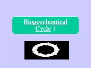 oxygen, carbon, hydrogen  and  nitrogen  make up the vast majority of living tissue.