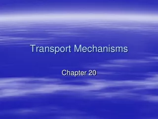 Transport Mechanisms