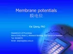Membrane Potentials in Cells - slide 1