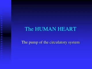 The HUMAN HEART