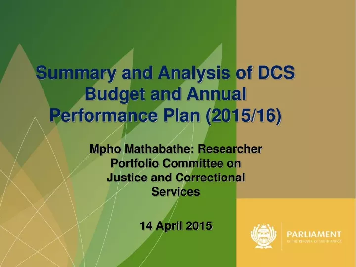 summary and analysis of dcs budget and annual