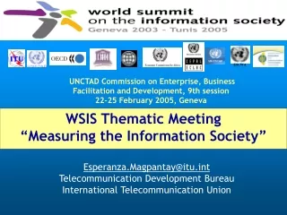 WSIS Thematic Meeting “Measuring the Information Society”