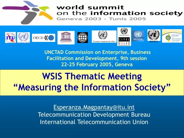 wsis thematic meeting measuring the information society