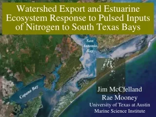 Watershed Export and Estuarine Ecosystem Response to Pulsed Inputs of Nitrogen to South Texas Bays