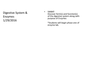 Digestive System &amp; Enzymes 1/29/2016