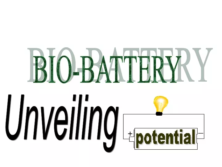 bio battery
