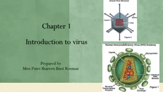 Chapter 1 Introduction to virus