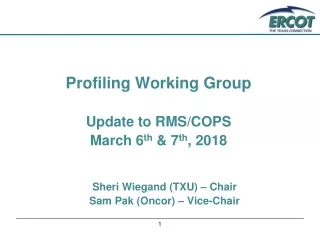 Profiling Working Group Update to RMS/COPS March 6 th  &amp; 7 th , 2018 Sheri Wiegand (TXU) – Chair