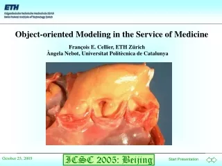 Object-oriented Modeling in the Service of Medicine