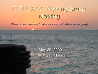 CITI L.A.W. Working Group Meeting