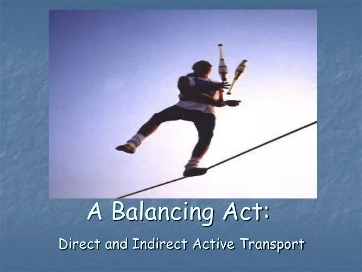 a balancing act direct and indirect active transport