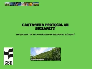 Cartagena Protocol on  Biosafety Secretariat of the Convention on Biological Diversity