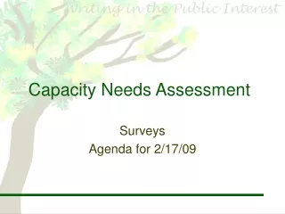 Capacity Needs Assessment