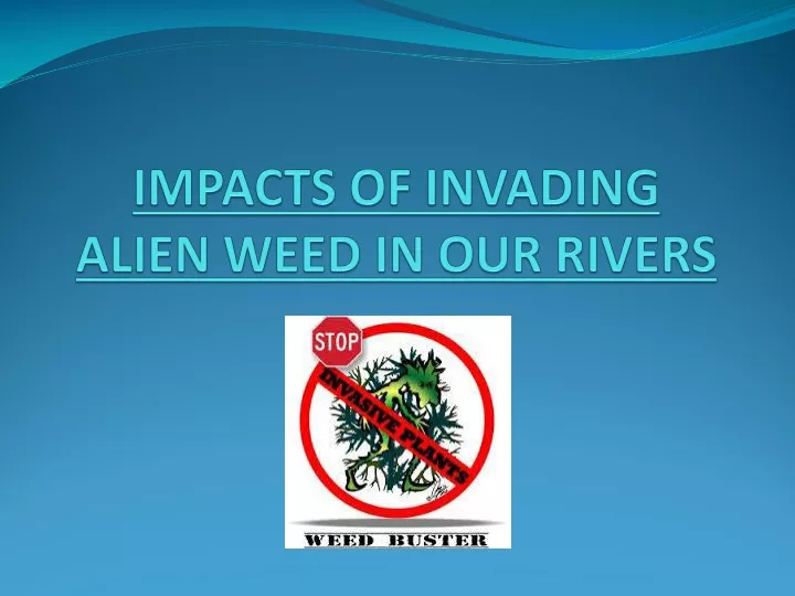impacts of invading alien weed in our rivers