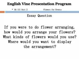 Essay Question