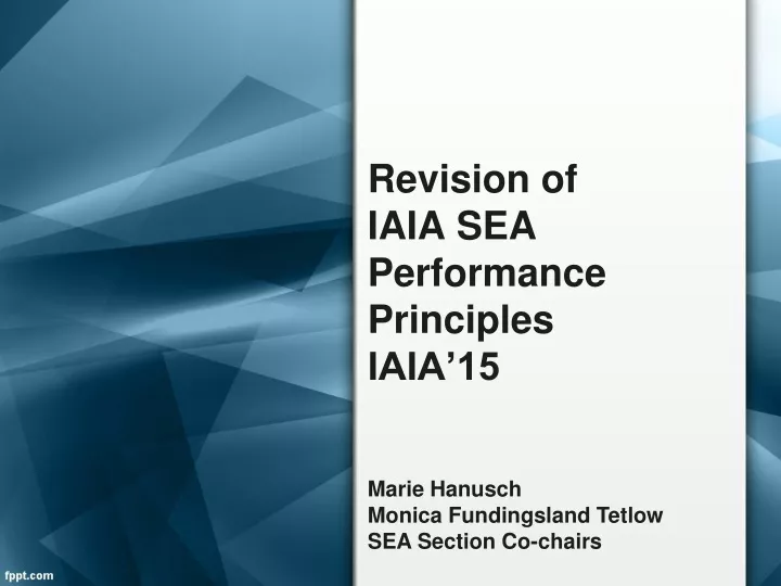 revision of iaia sea performance principles iaia 15