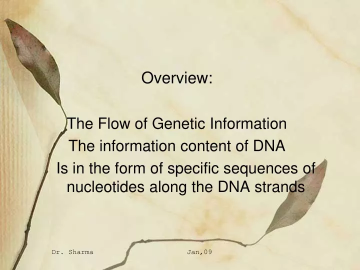 overview the flow of genetic information