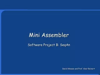 Mini Assembler Software Project B: SeqAn