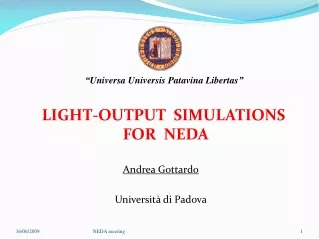 LIGHT-OUTPUT  SIMULATIONS FOR  NEDA  Andrea Gottardo Università di Padova