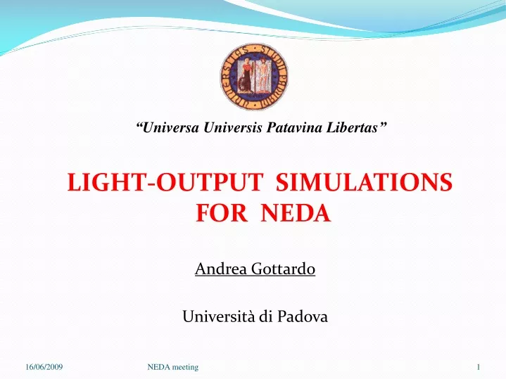light output simulations for neda andrea gottardo