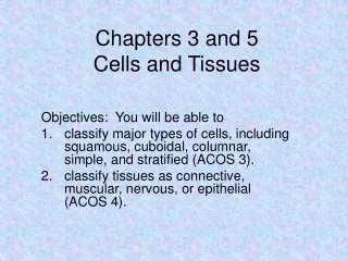 Chapters 3 and 5 Cells and Tissues