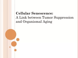 Cellular Senescence:  A Link between Tumor Suppression and Organismal Aging