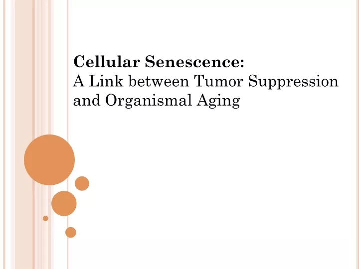 cellular senescence a link between tumor
